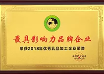 最具影响力品牌企业