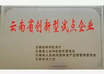 云南省创新型试点企业