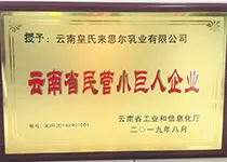 云南省民营小巨人企业